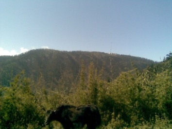 Druk Path Trek