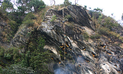 Honey Hunting in Ghanpokhara and Ghalegaun