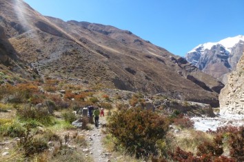 Nar Phu with Annapurna Circuit Trek