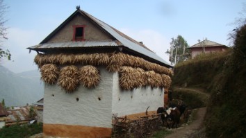 Sailung Trek (8 to 10 Days)