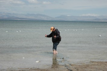 Simikot -Mt. Kailash - Tsaparang - Mansarovar Trek